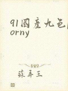 91国产九色porny