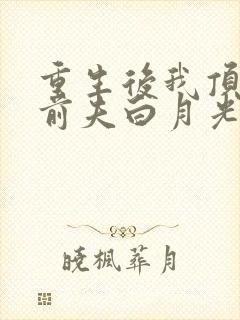 重生后我顶替了前夫白月光九九月著