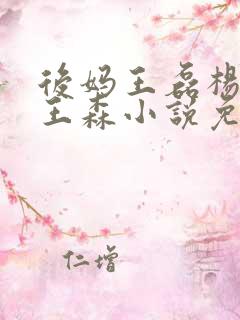 后妈王磊杨晓芬王森小说免费阅读