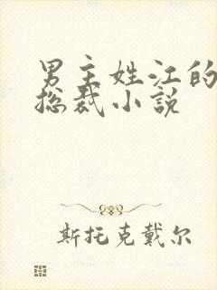 男主姓江的现代总裁小说