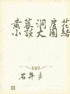 黄蓉洞房花烛夜小说大团结