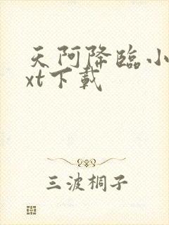 天阿降临小说txt下载