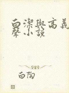 白洁与高义 有声小说
