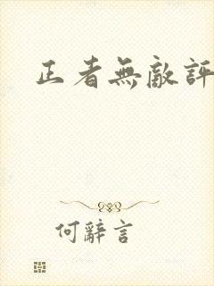 正者无敌评分