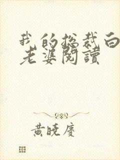 我的总裁白富美老婆阅读