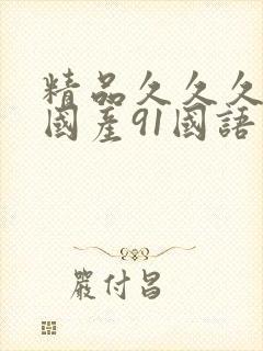 精品久久久久久国产91国语对白