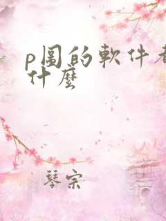 p图的软件都有什么