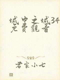城中之城34集免费观看