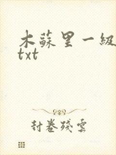 木苏里一级律师txt