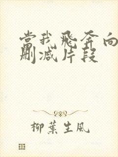 当我飞奔向你被删减片段