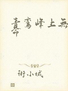 青鸾峰上无敌天命