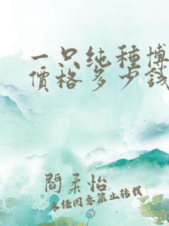 一只纯种博美狗价格多少钱