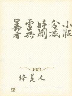 暴雪时分小说原著无删减版