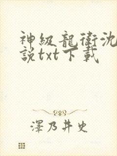 神级龙卫沈浪小说txt下载