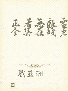 正者无敌电视剧全集在线免费观看