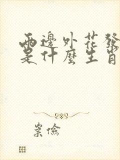 两边外花发大财是什么生肖