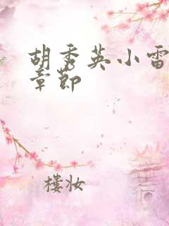 胡秀英小雷全部章节