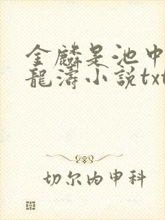 金麟是池中物侯龙涛小说txt