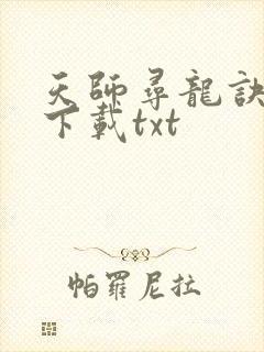 天师寻龙诀免费下载txt