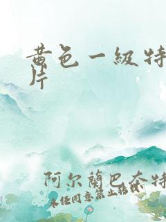 黄色一级特黄大片