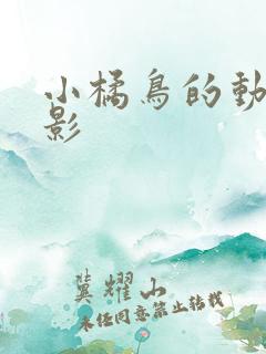 小橘鸟的动画电影