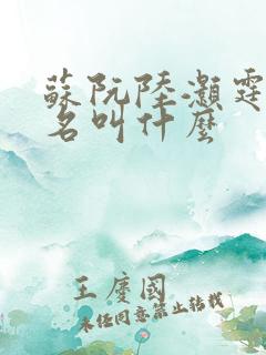 苏阮陆灏霆短剧名叫什么