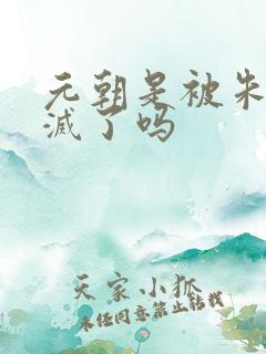 元朝是被朱元璋灭了吗
