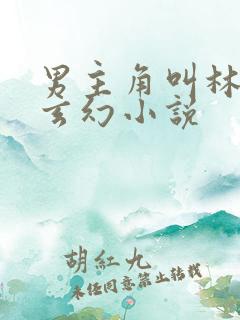 男主角叫林萧的玄幻小说