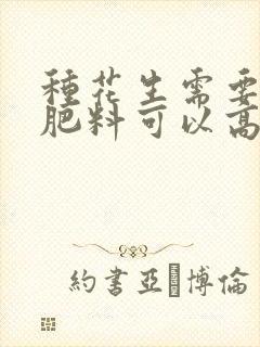 种花生需要什么肥料可以高产