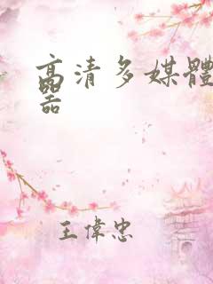 高清多媒体播放器