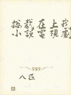 总裁在上我在下小说电视剧