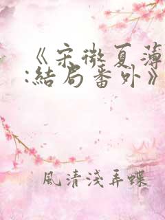 《宋微夏薄以宸:结局番外》 《宋微夏薄以宸:结局番外》