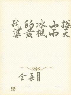 我的冰山总裁老婆黄枫雨天