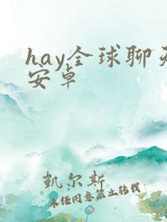hay全球聊天安卓