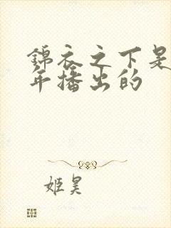 锦衣之下是哪一年播出的