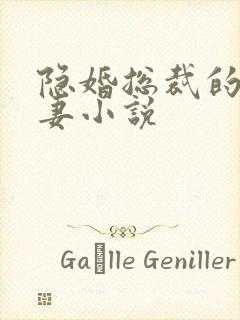 隐婚总裁的呆萌妻小说