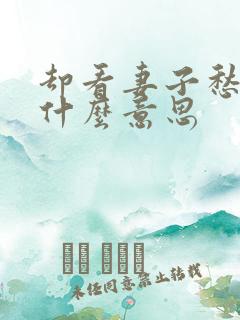 却看妻子愁何在什么意思