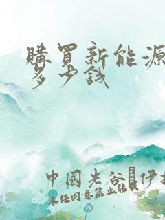 购买新能源汽车多少钱