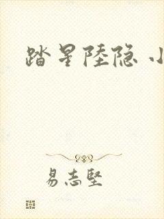 踏星陆隐 小说