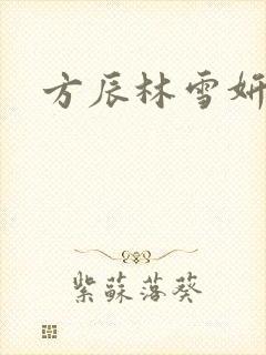 方辰林雪妍