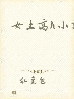 女上高h小说