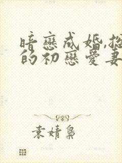 暗恋成婚,总裁的初恋爱妻 君子闺来