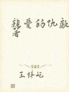 亲爱的仇敌 原著