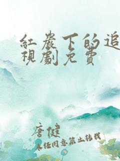 红岩下的追捕电视剧免费
