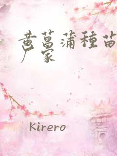 黄菖蒲种苗供应厂家