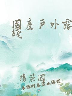 国产户外露脸在线