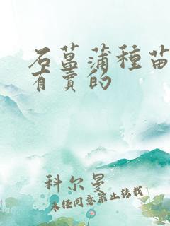 石菖蒲种苗哪里有卖的
