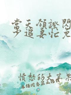 当天领证闪婚陆少追妻忙免费看