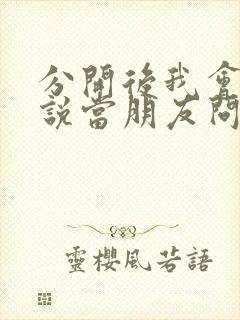 分开后我会笑着说当朋友问你关于我歌词