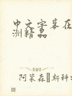 中文字幕在线亚洲精品